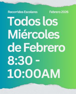 Recorridos Escolares